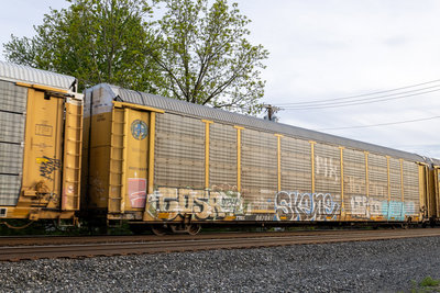 TTGX 987081