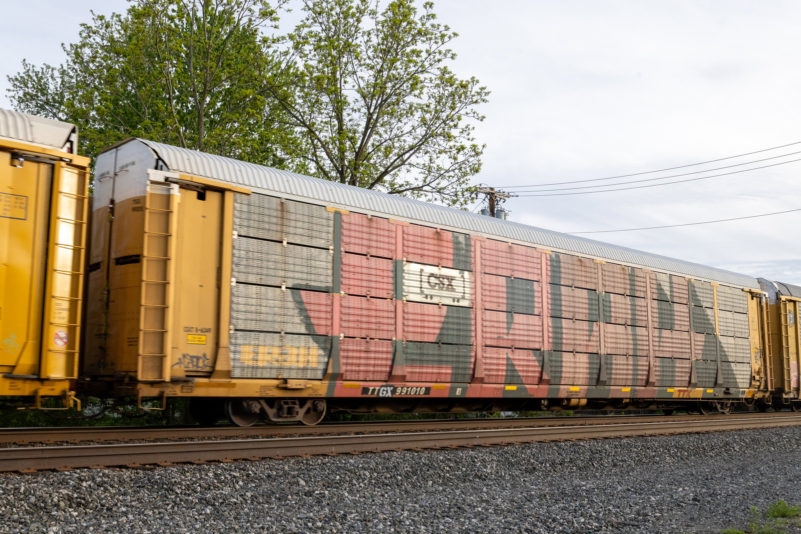 TTGX 991010