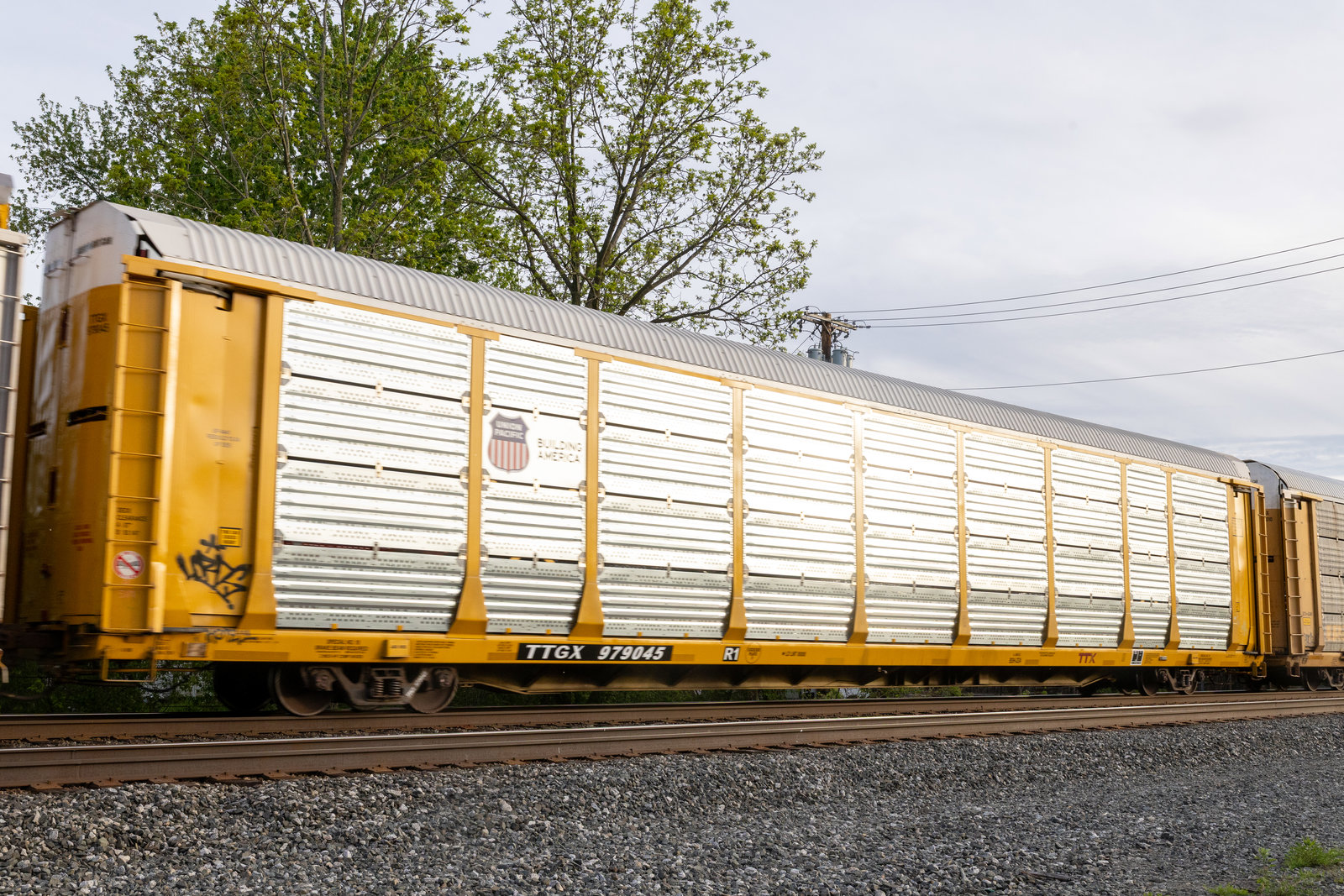 TTGX 979045