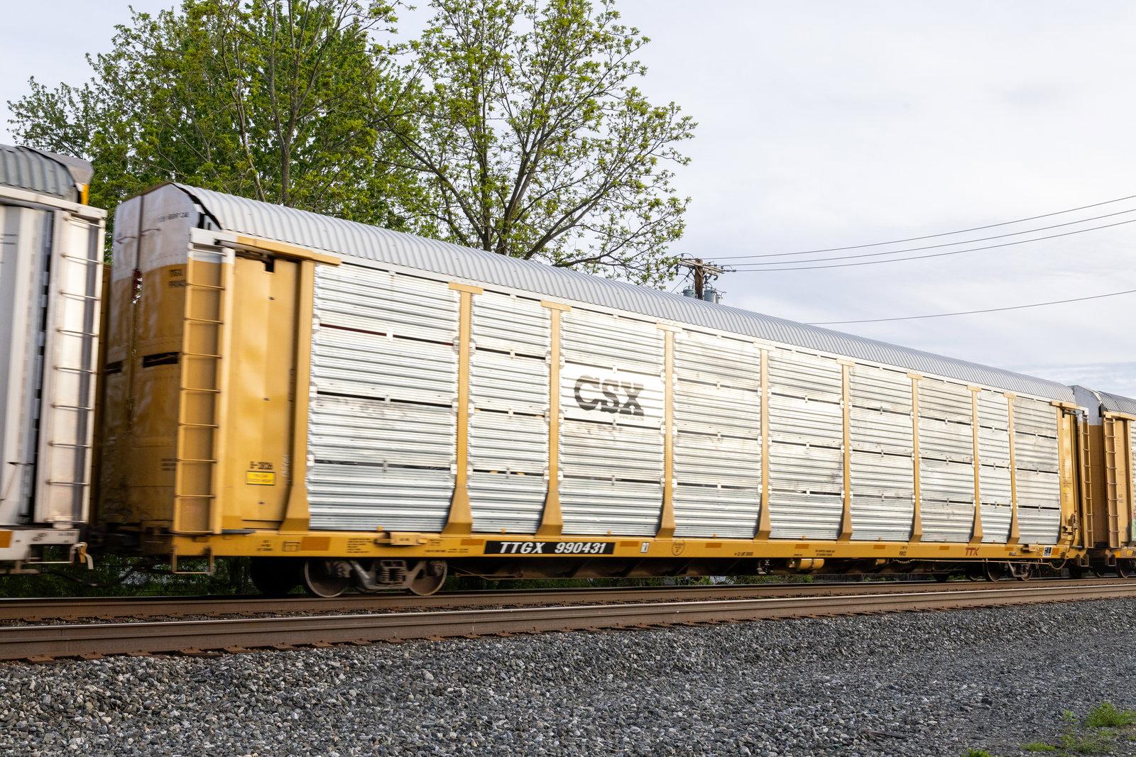 TTGX 990431