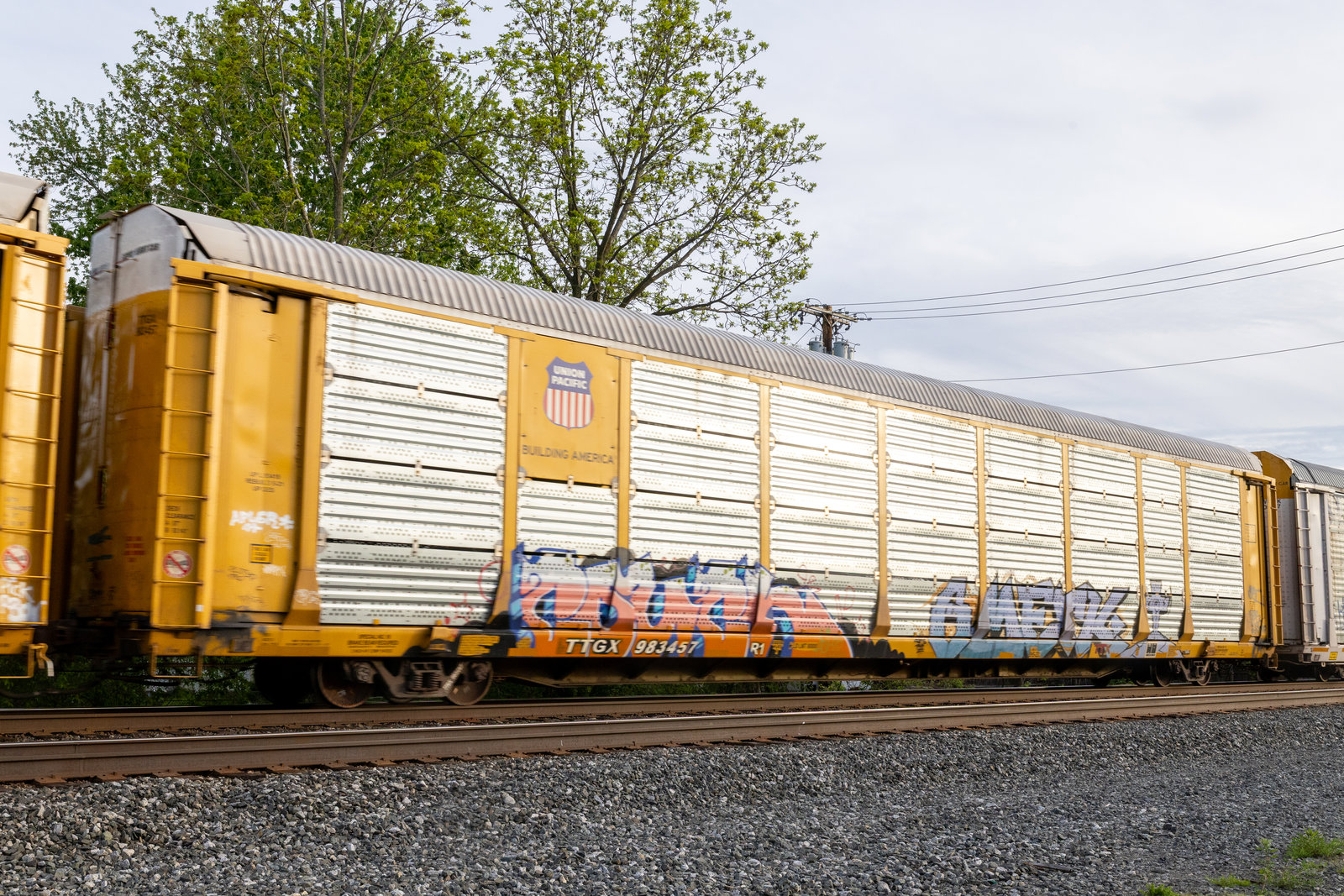 TTGX 983457