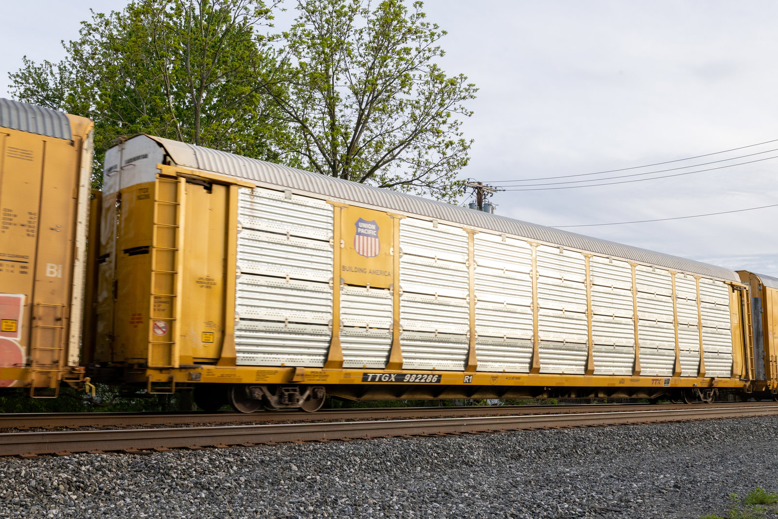 TTGX 982286