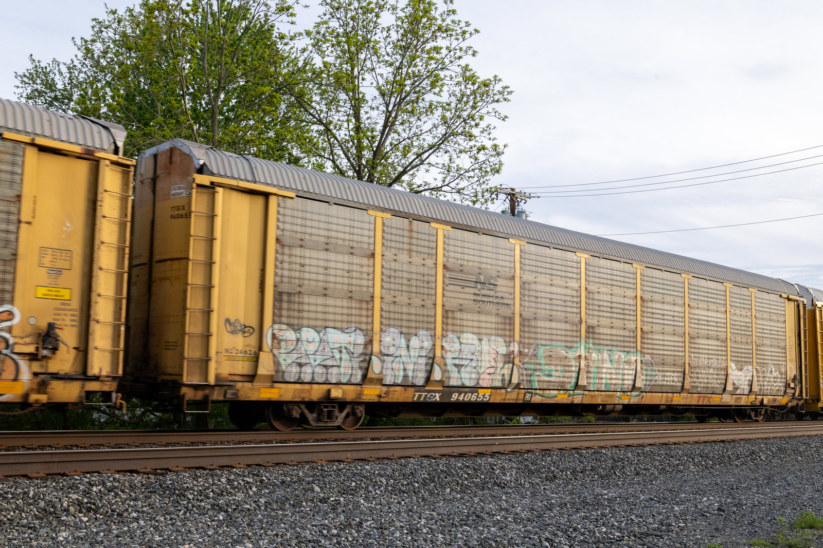 TTGX 940655