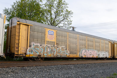 TTGX 988545