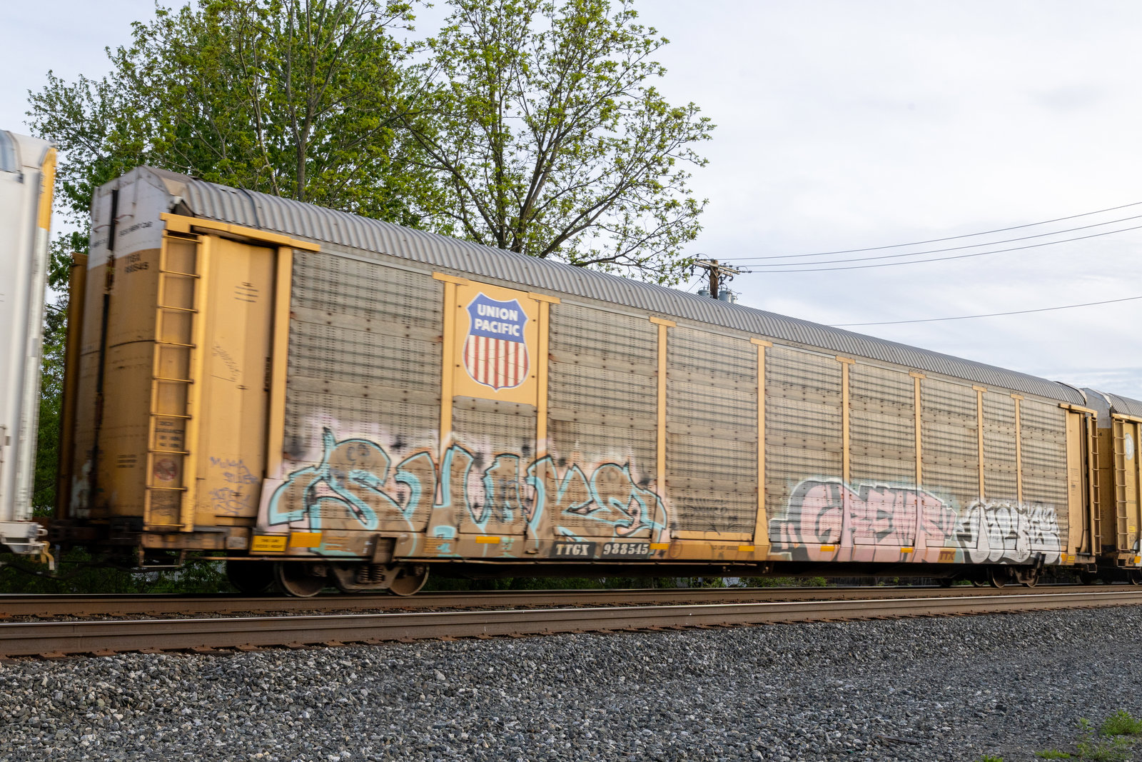 TTGX 988545