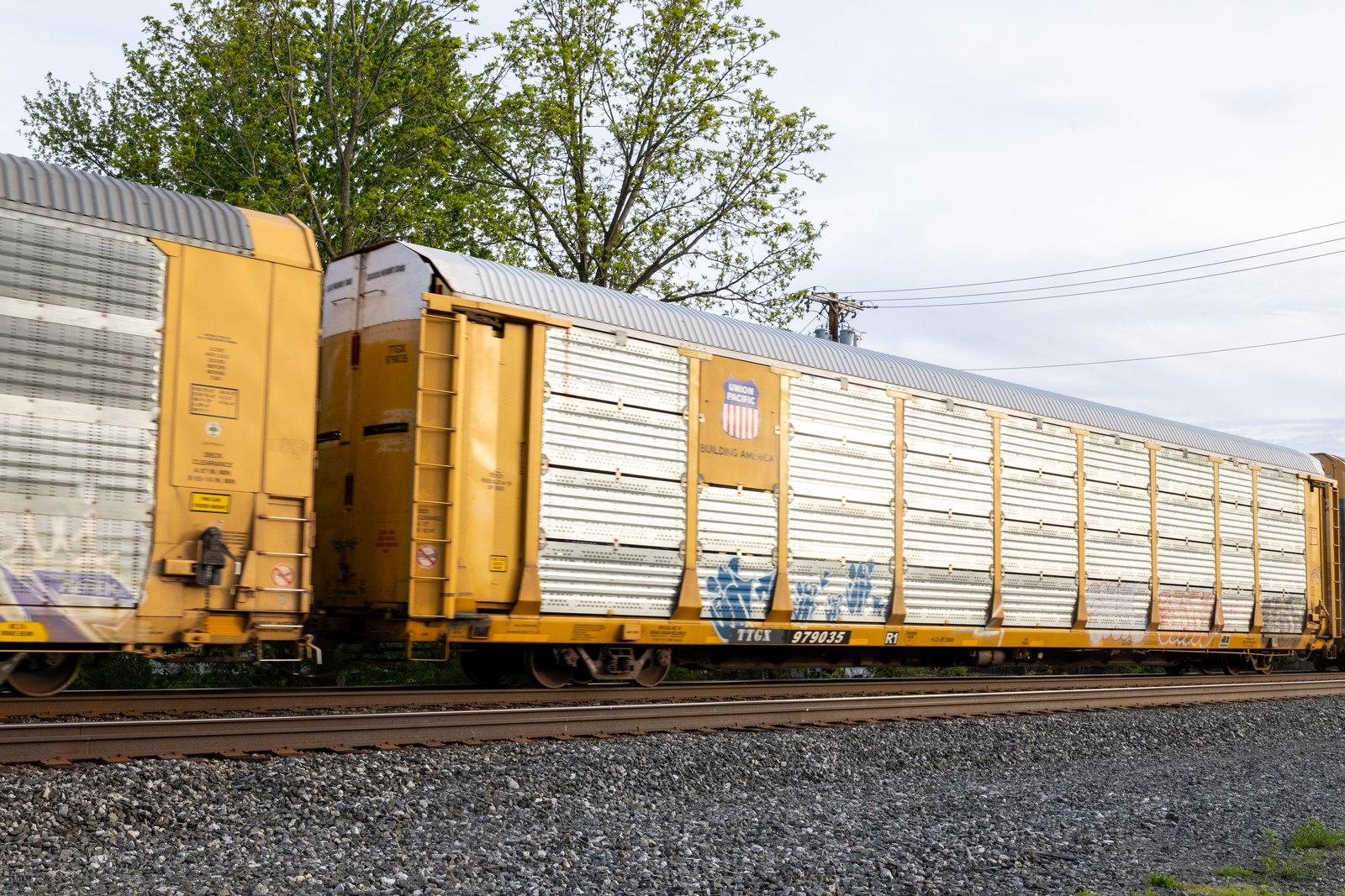 TTGX 979035