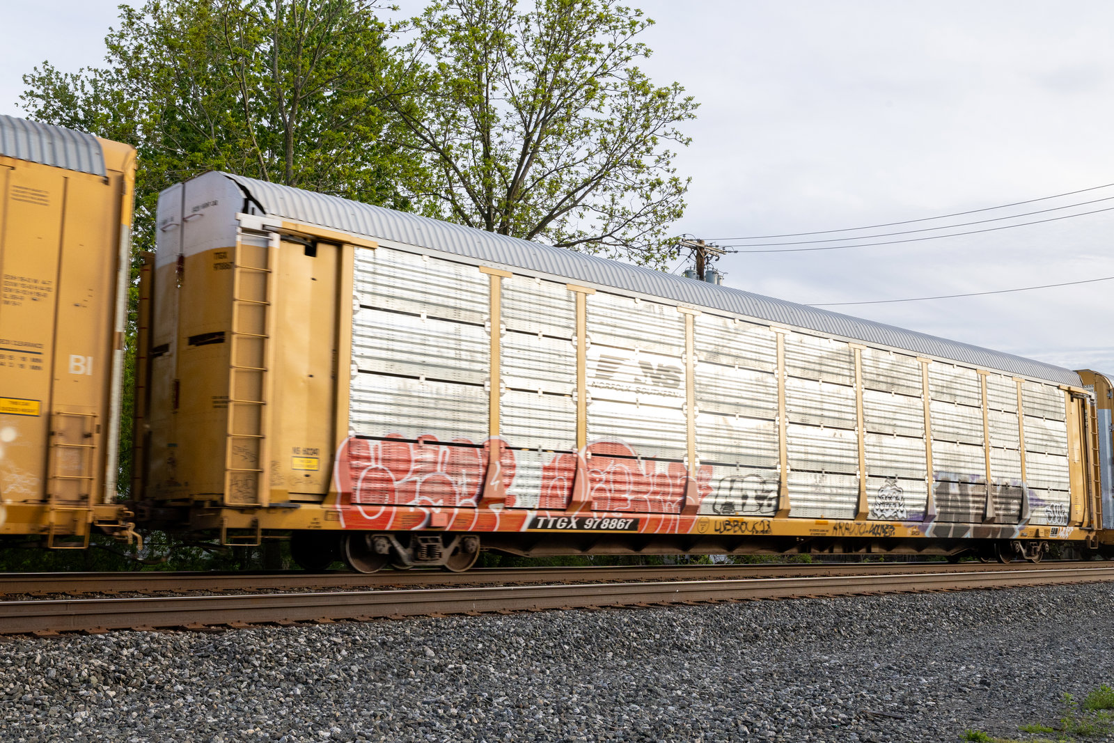 TTGX 978867