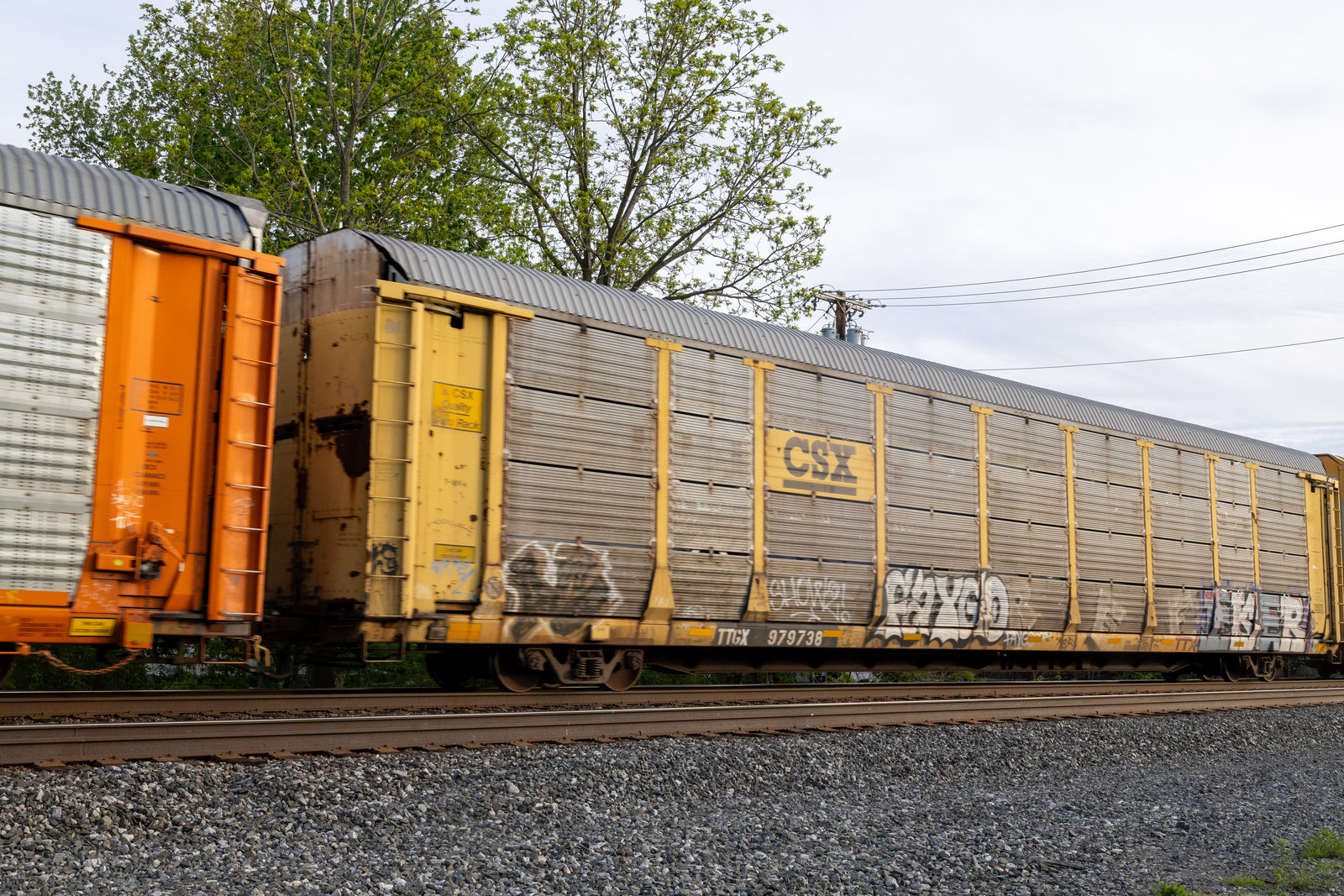 TTGX 979738