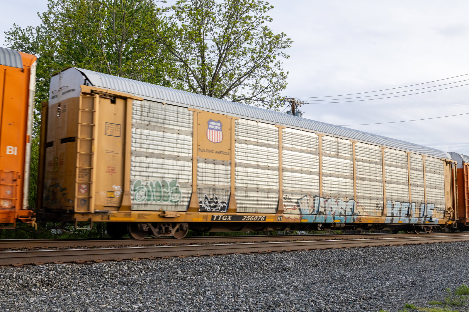 TTGX 256076