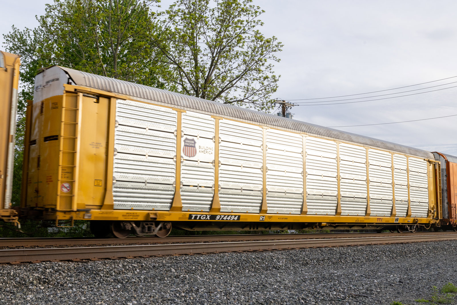 TTGX 974494