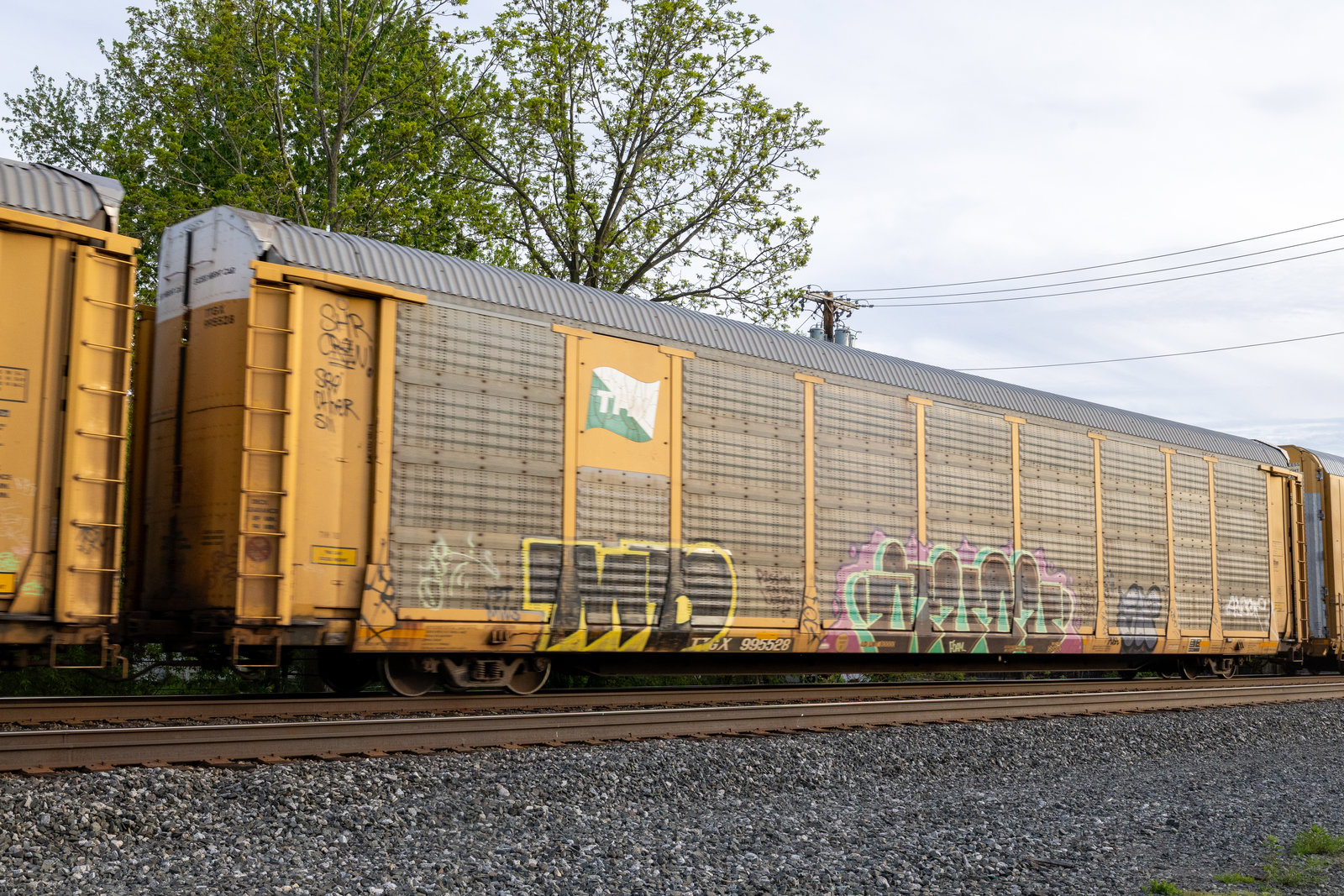 TTGX 995528