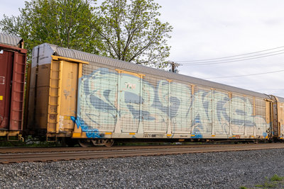TTGX 995576