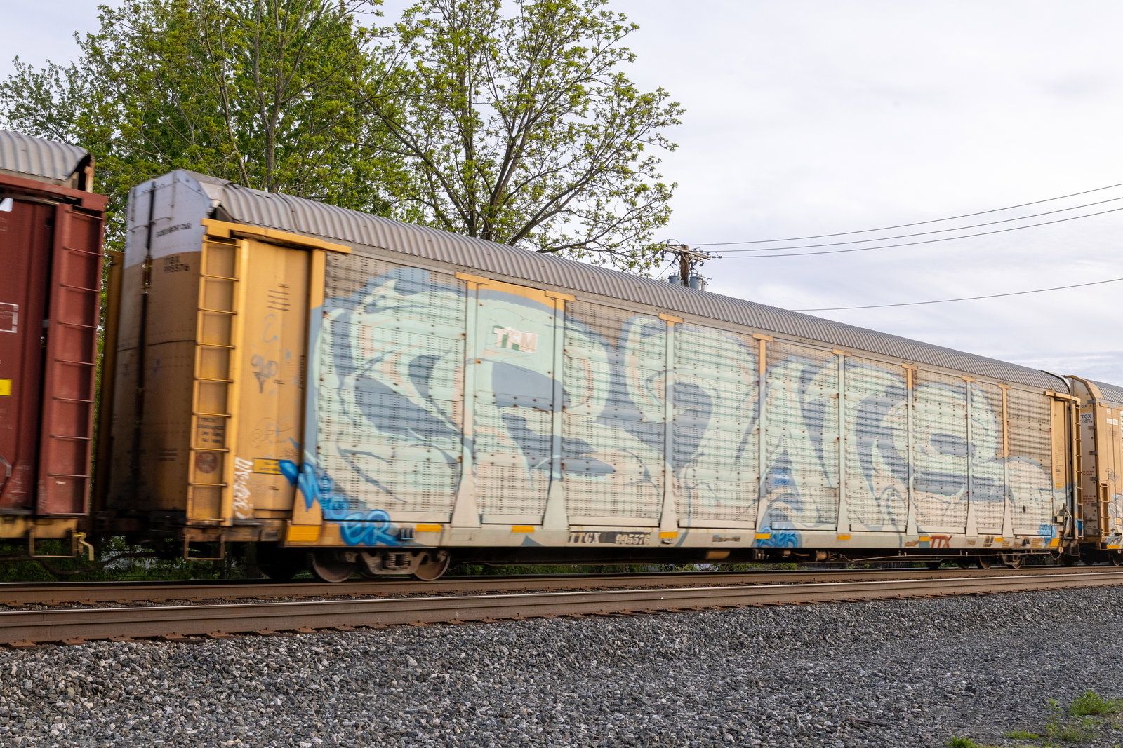 TTGX 995576