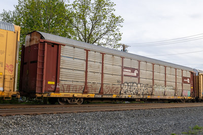 TTGX 980383