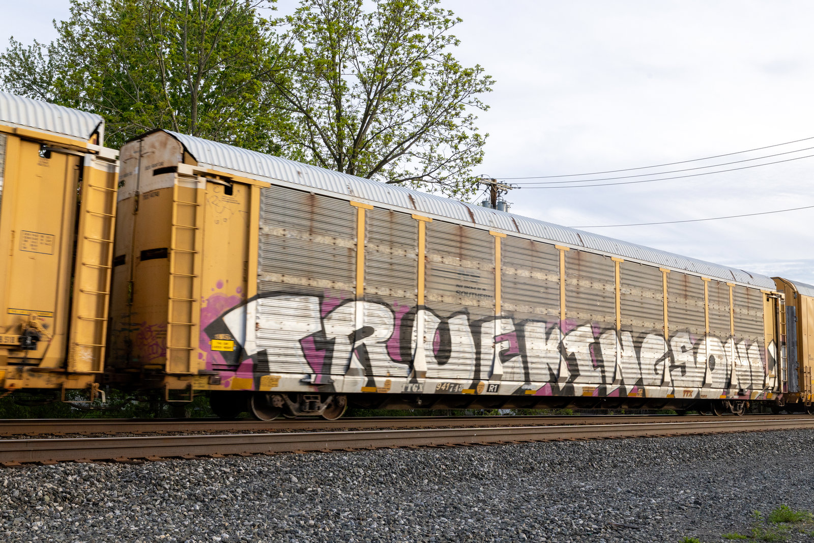 TTGX 941748