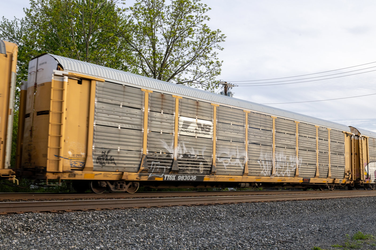 TTGX 983036