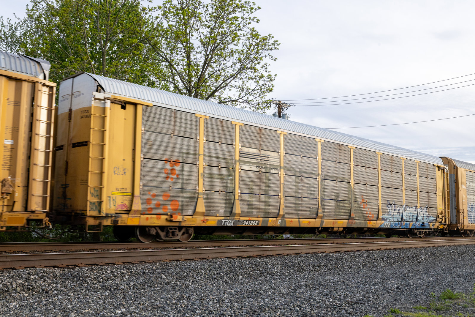 TTGX 941868