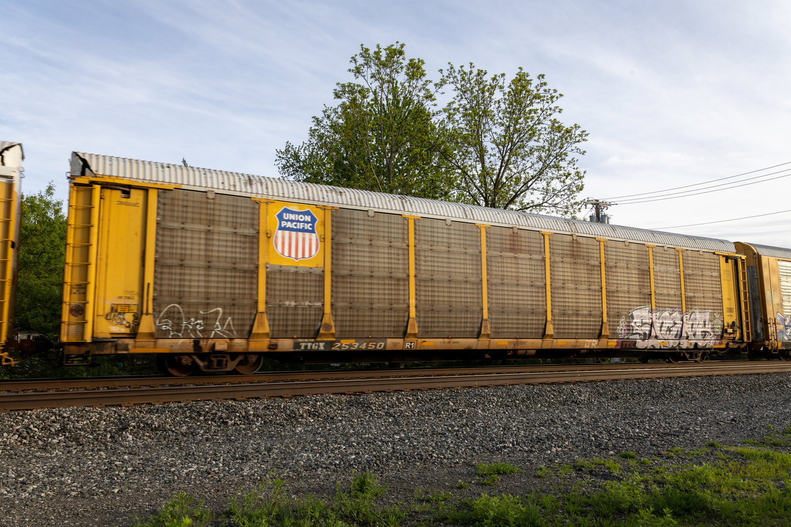 TTGX 253450