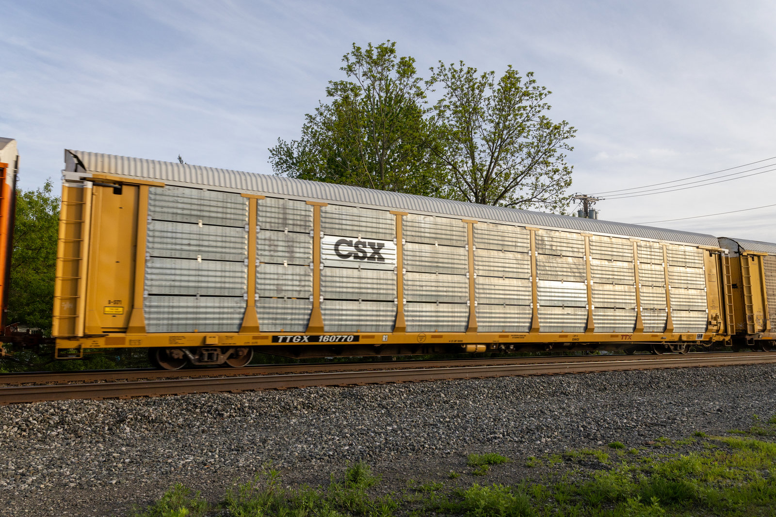 TTGX 160770