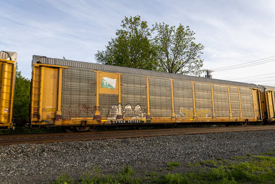 TTGX 987484