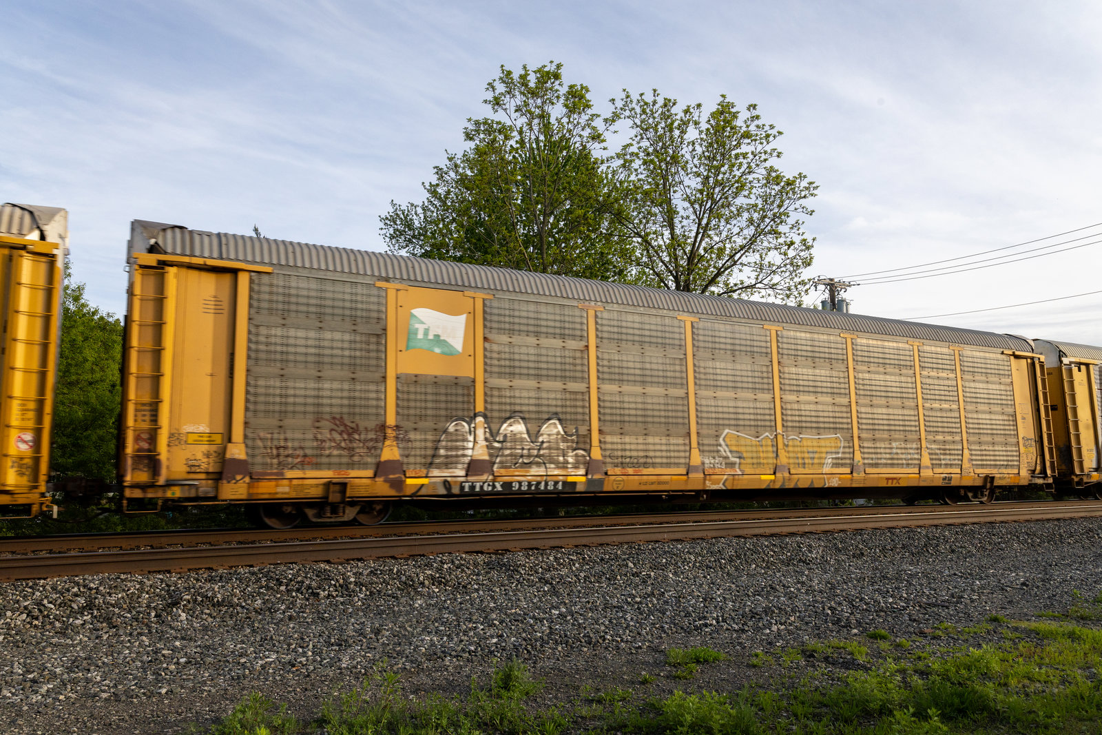 TTGX 987484