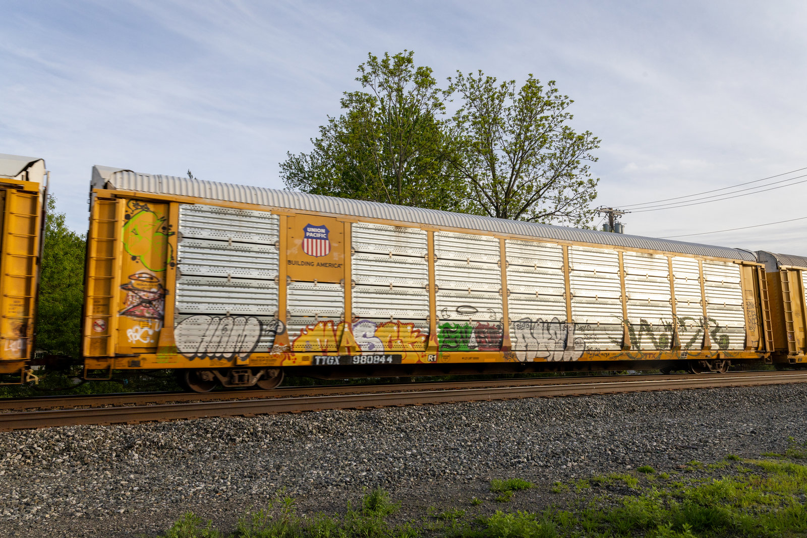 TTGX 980844