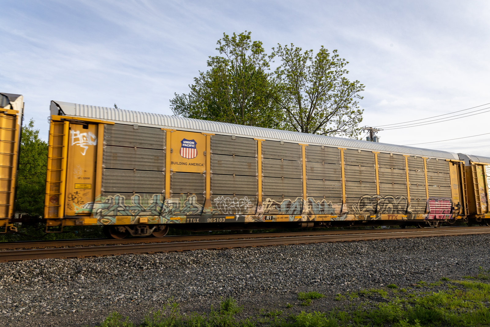 TTGX 965103