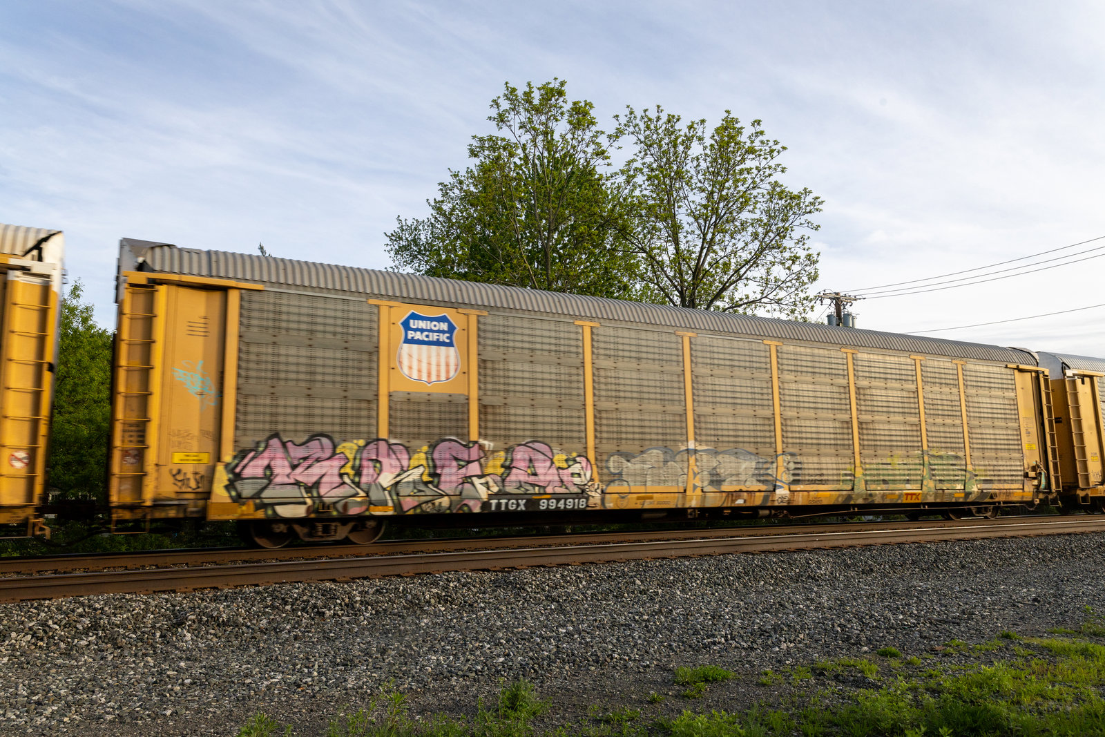TTGX 994918