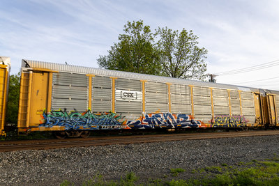 TTGX 971308