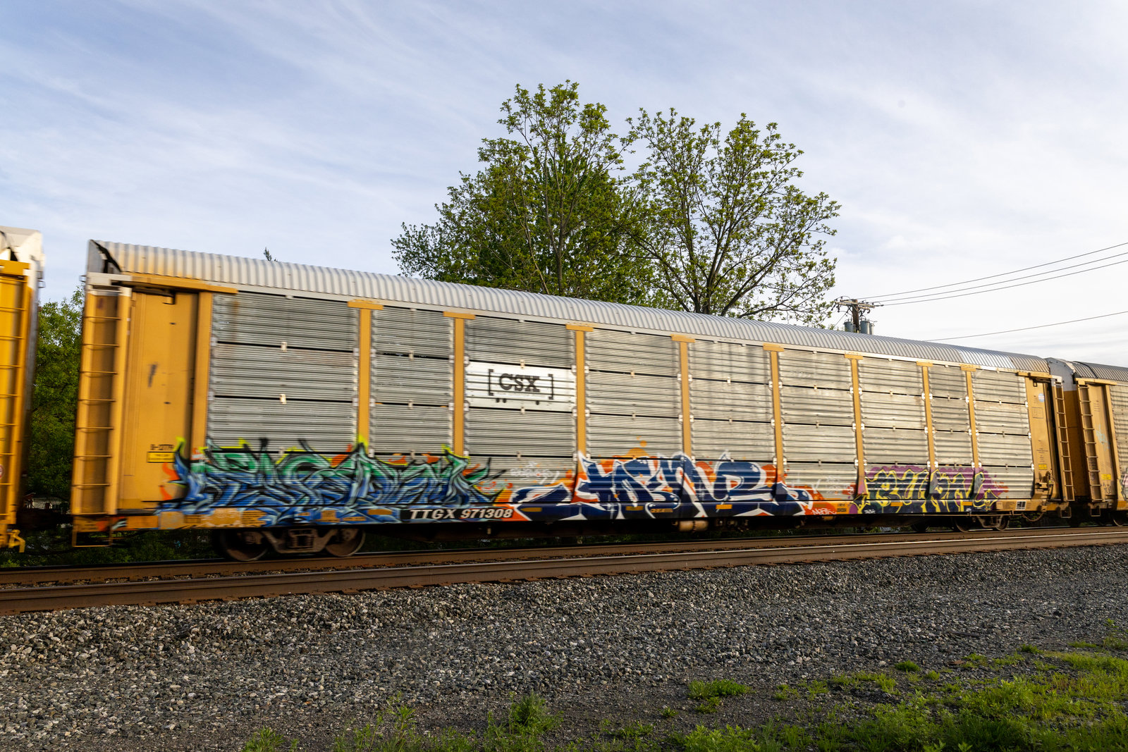 TTGX 971308