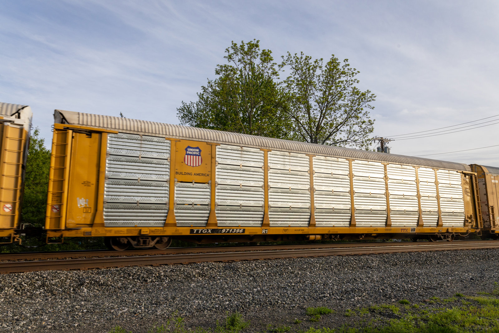 TTGX 971396