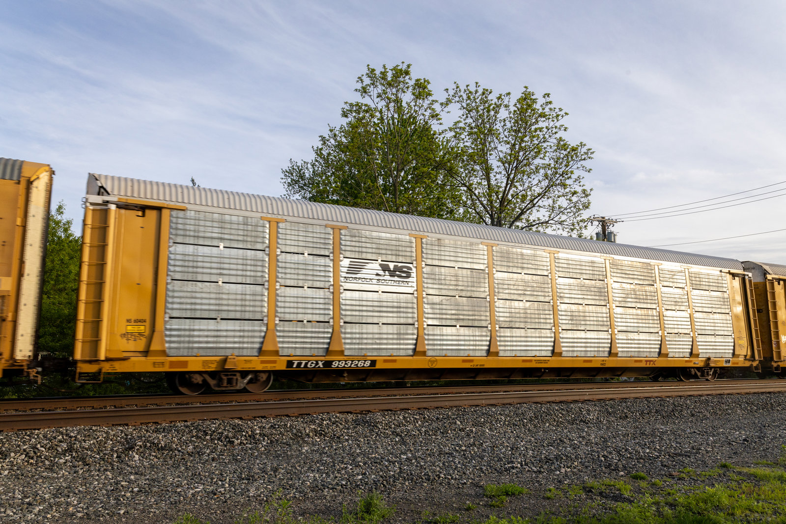 TTGX 993268
