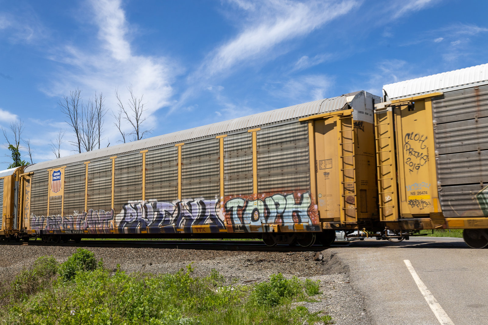 TTGX 952196