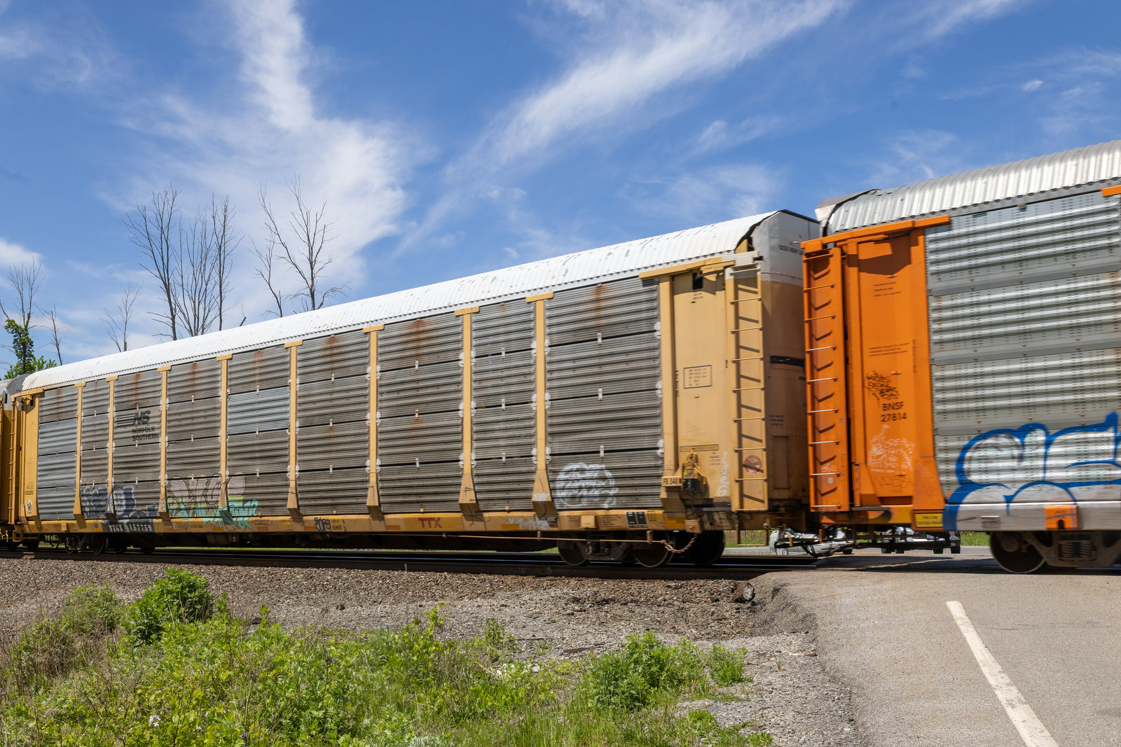TTGX 157759