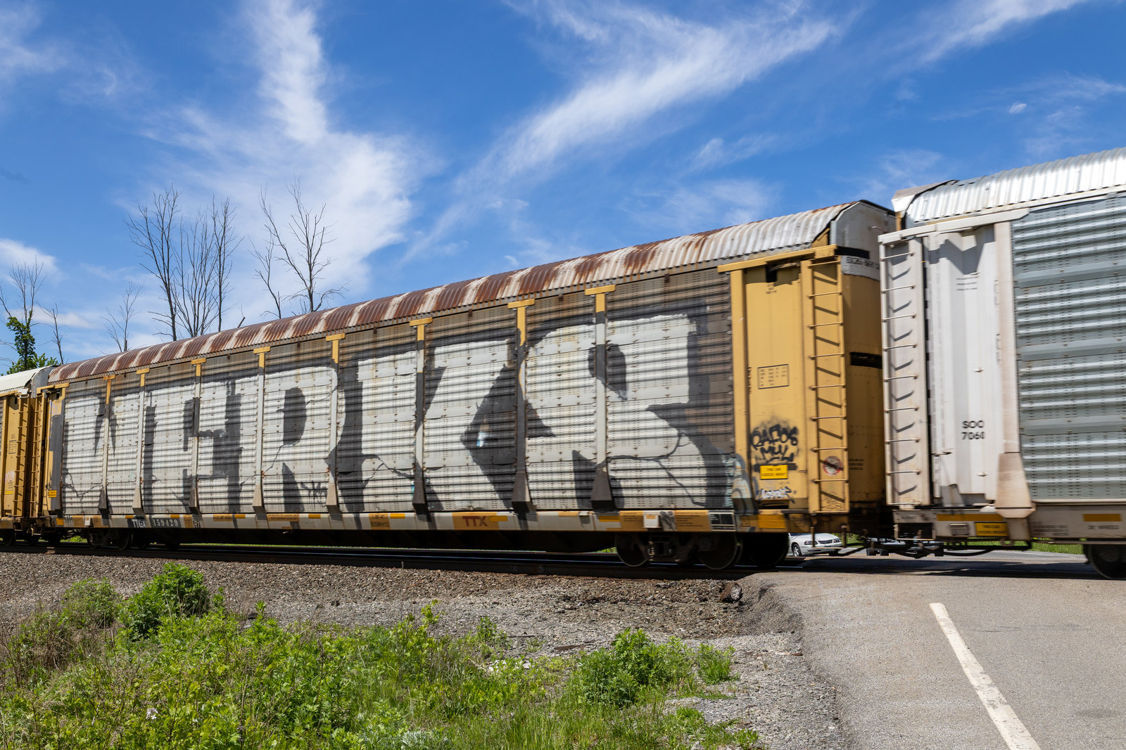 TTGX 159429