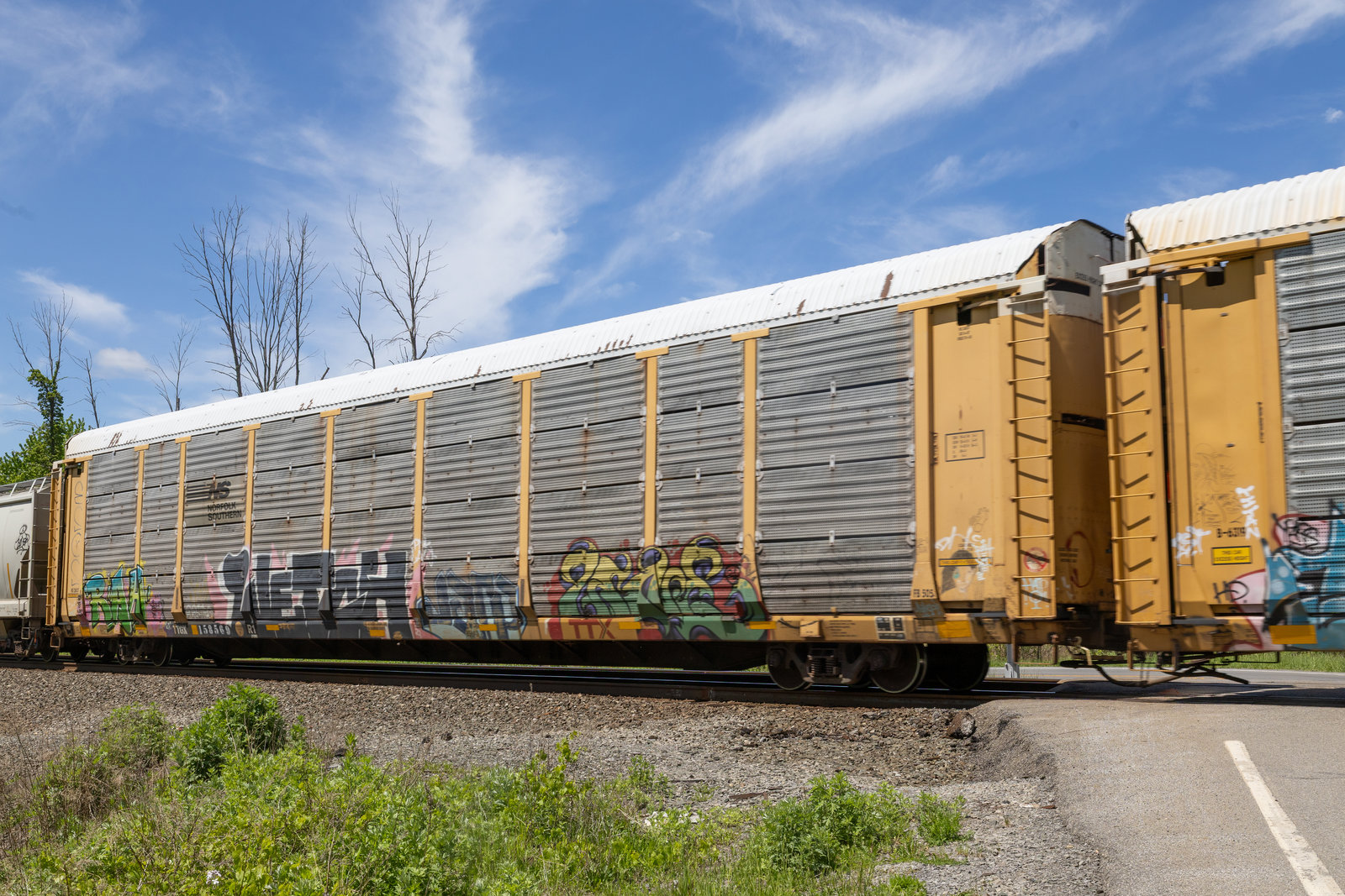 TTGX 158569