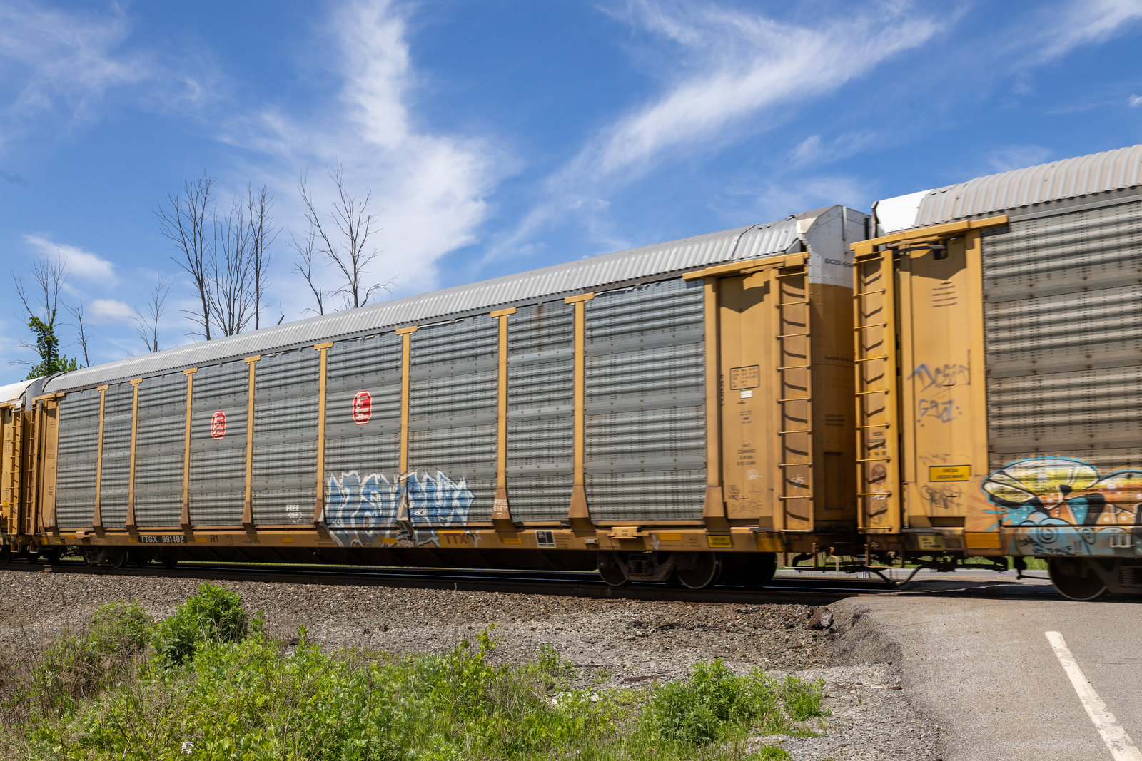 TTGX 991402