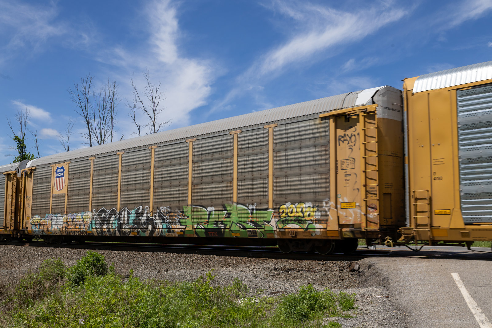 TTGX 994656