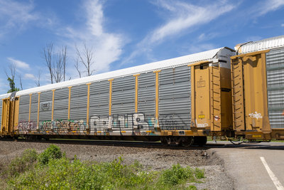 TTGX 964147