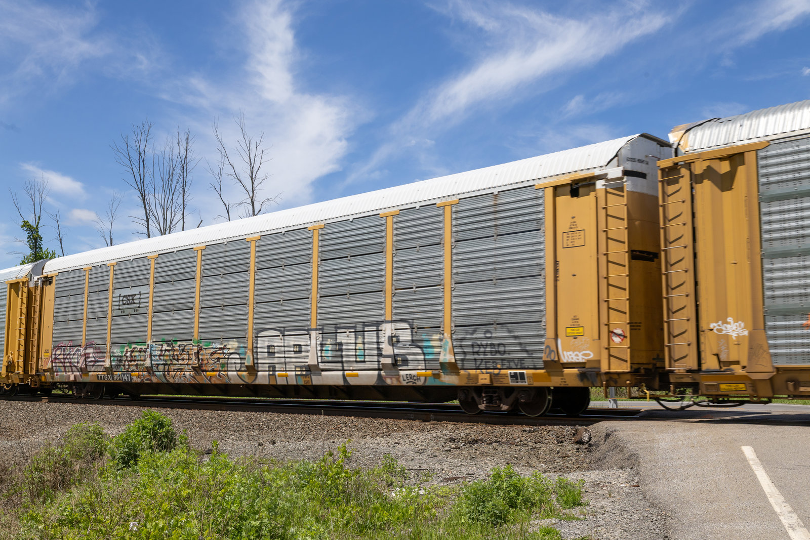TTGX 964147