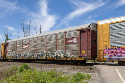 TTGX 964464