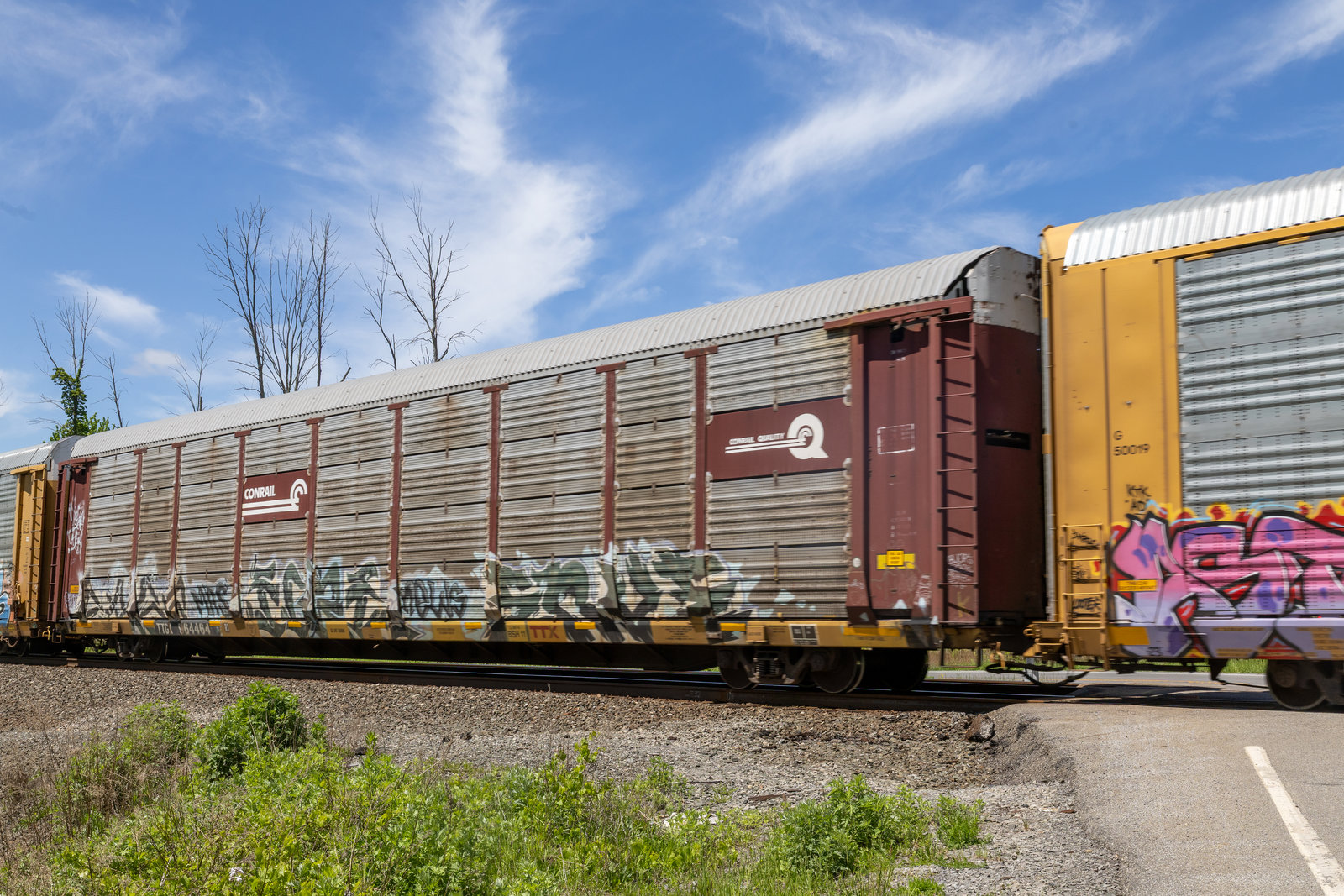 TTGX 964464