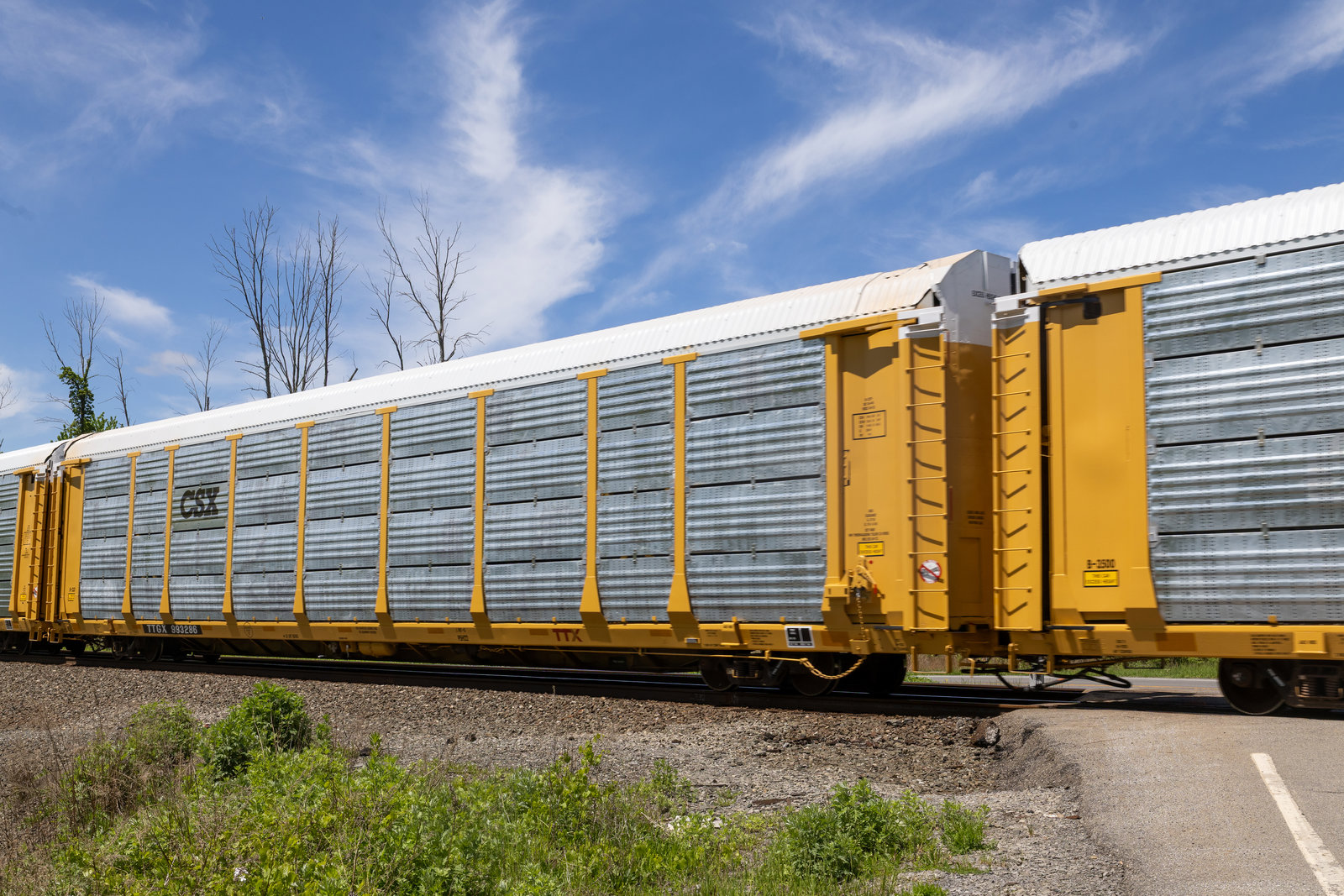 TTGX 993286