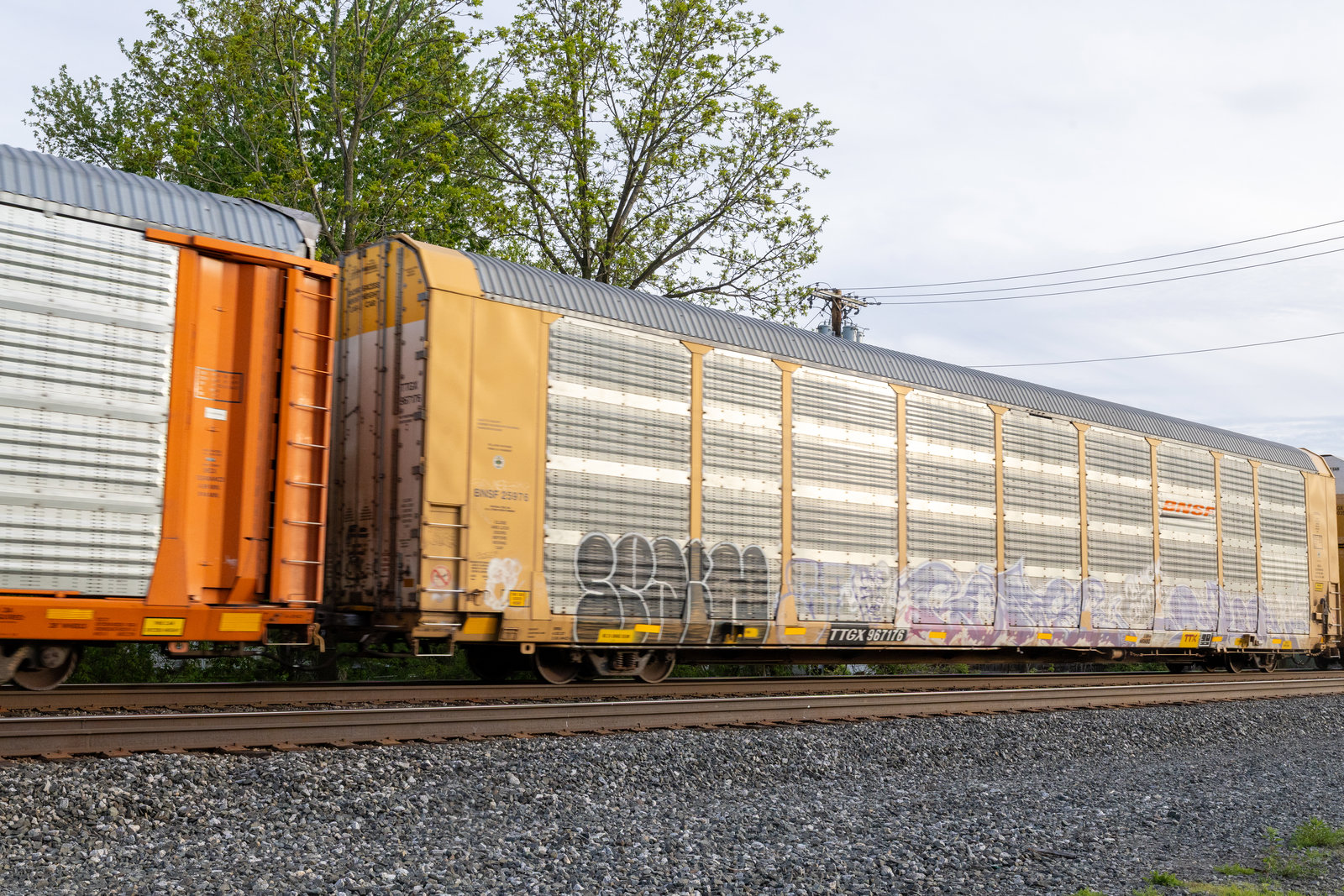 TTGX 967176