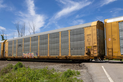 TTGX 715436