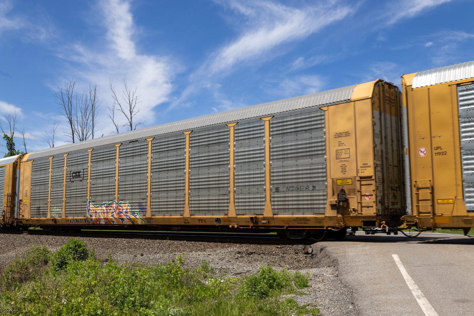 TTGX 715436