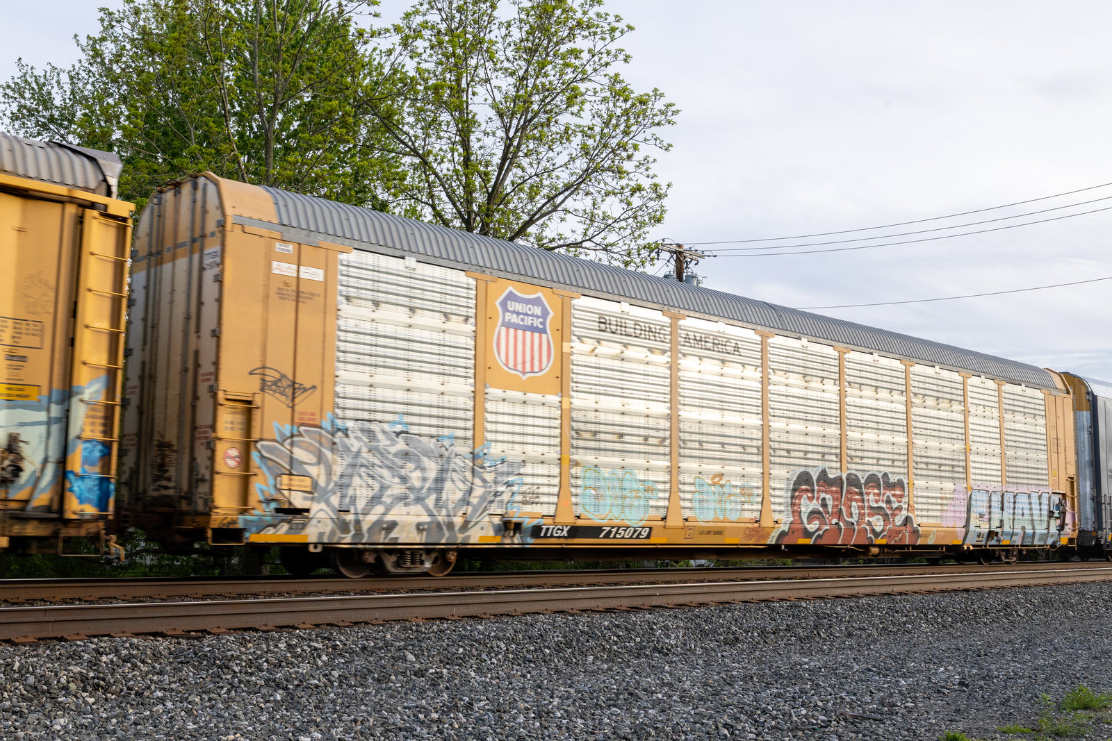 TTGX 715079
