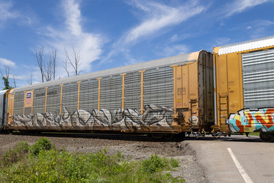 TTGX 716436