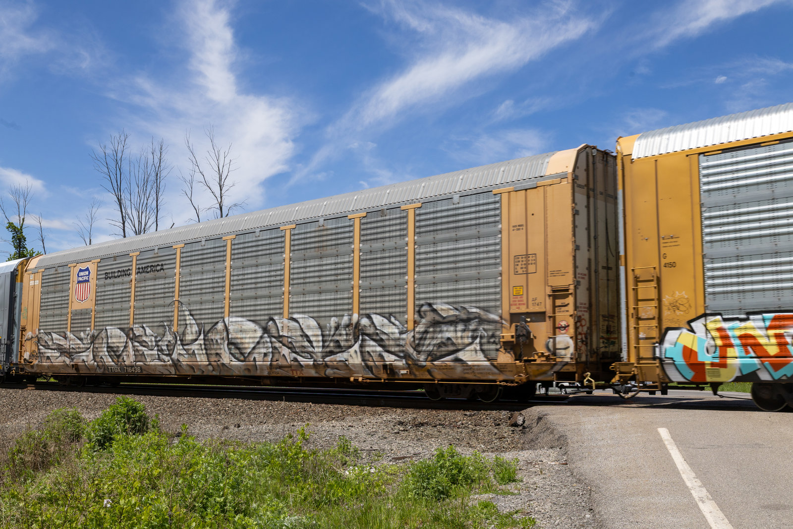TTGX 716436