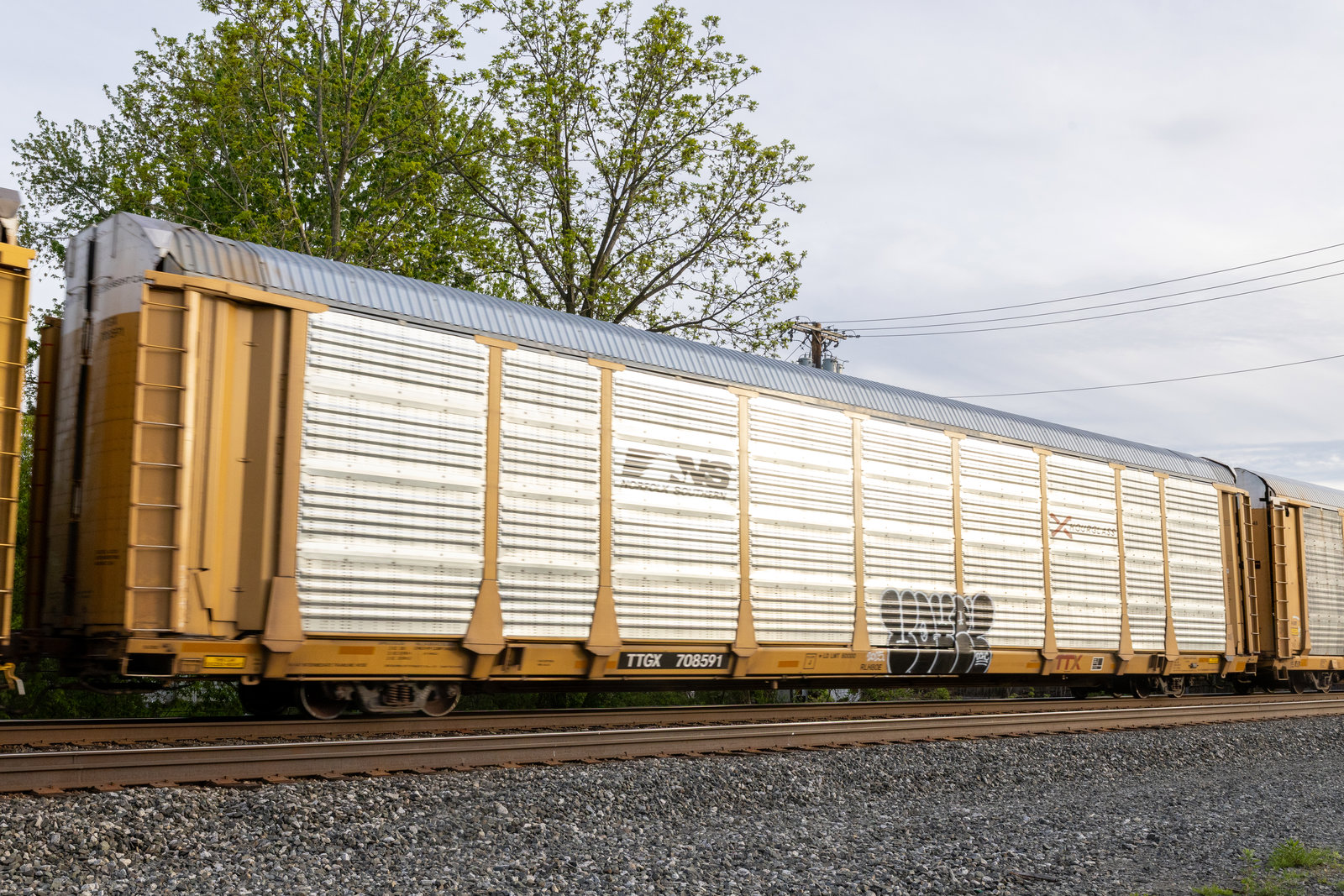 TTGX 708591